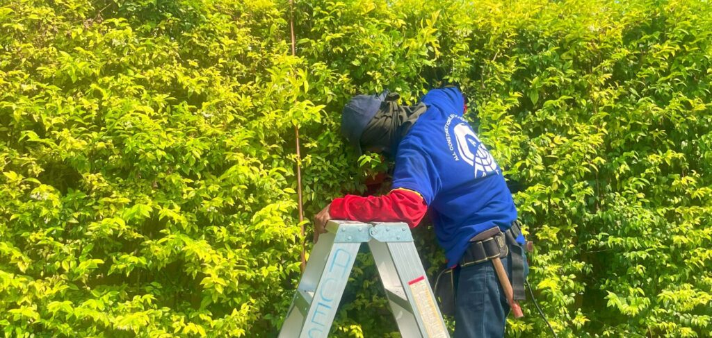 The importance of Grounding Electricity